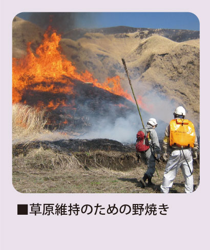 keikan-02